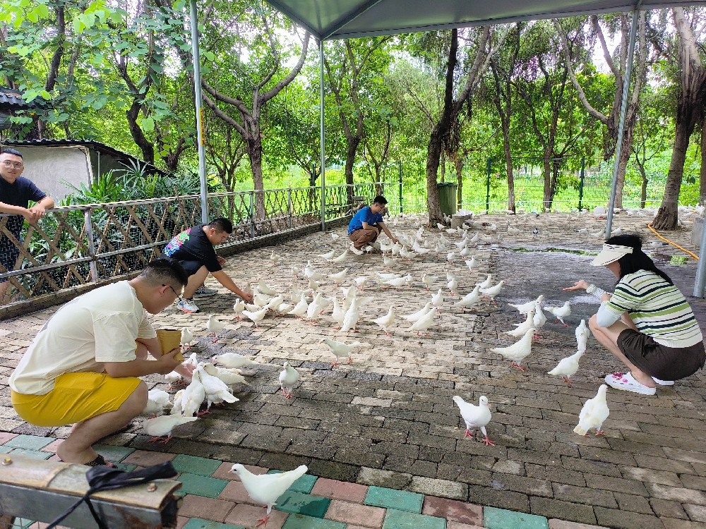 清涼一夏，清遠漂流