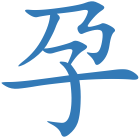 孕