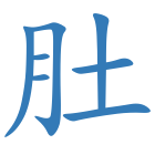肚