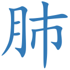 肺