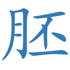 胚