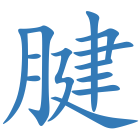 腱
