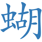 蝴