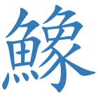 鱌