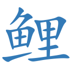 鲤